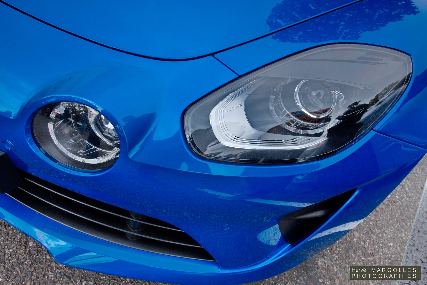 Alpine A110-02.jpg
